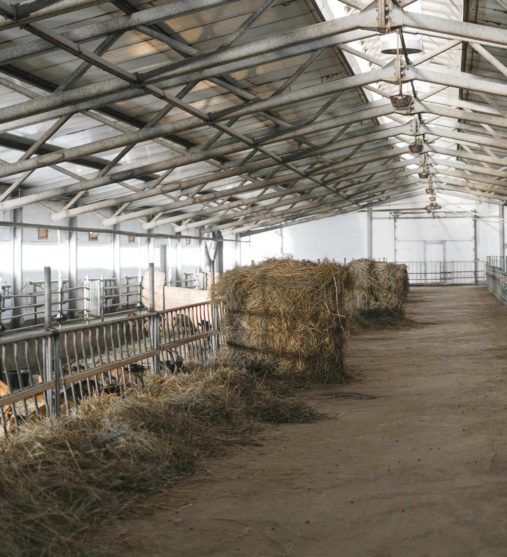 Industrial Farm