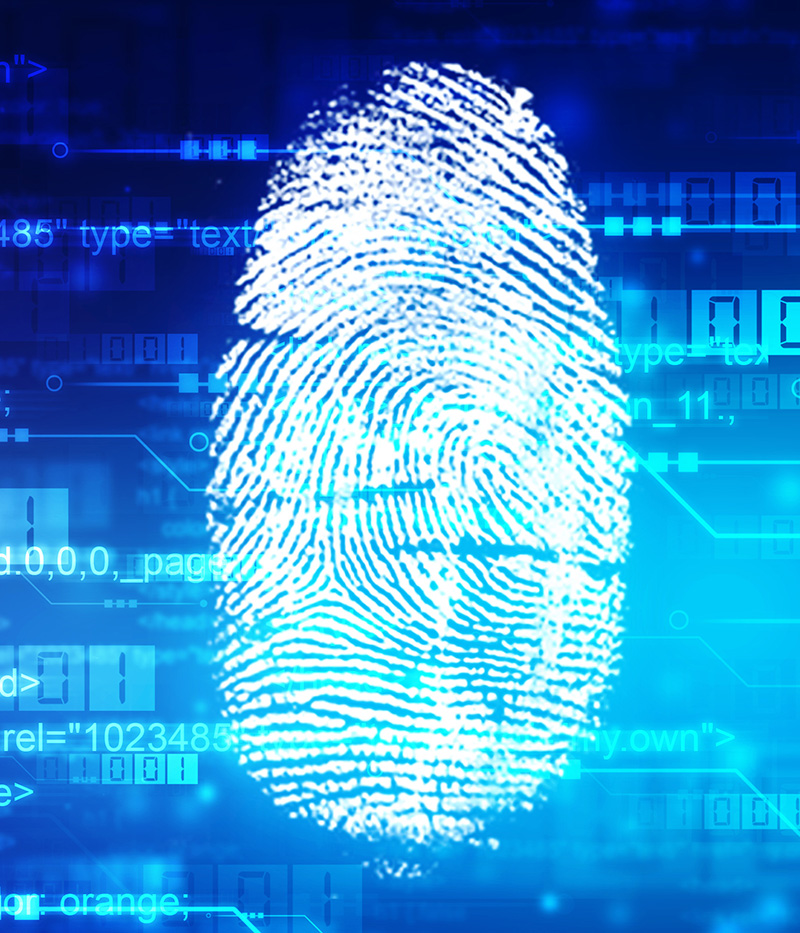 Fingerprint Fingerprint