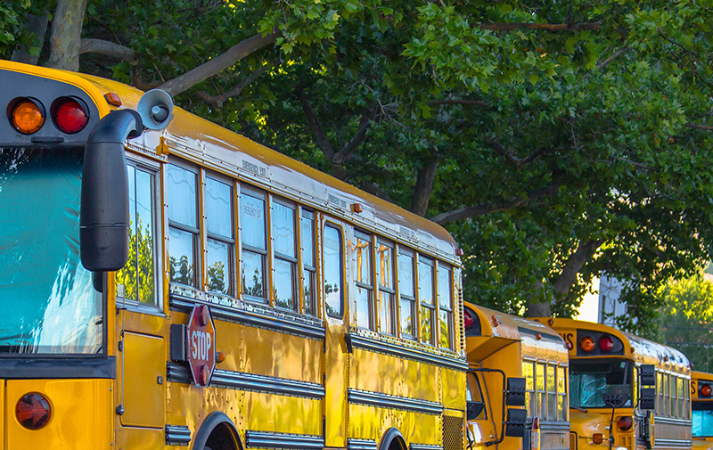 Bus Line