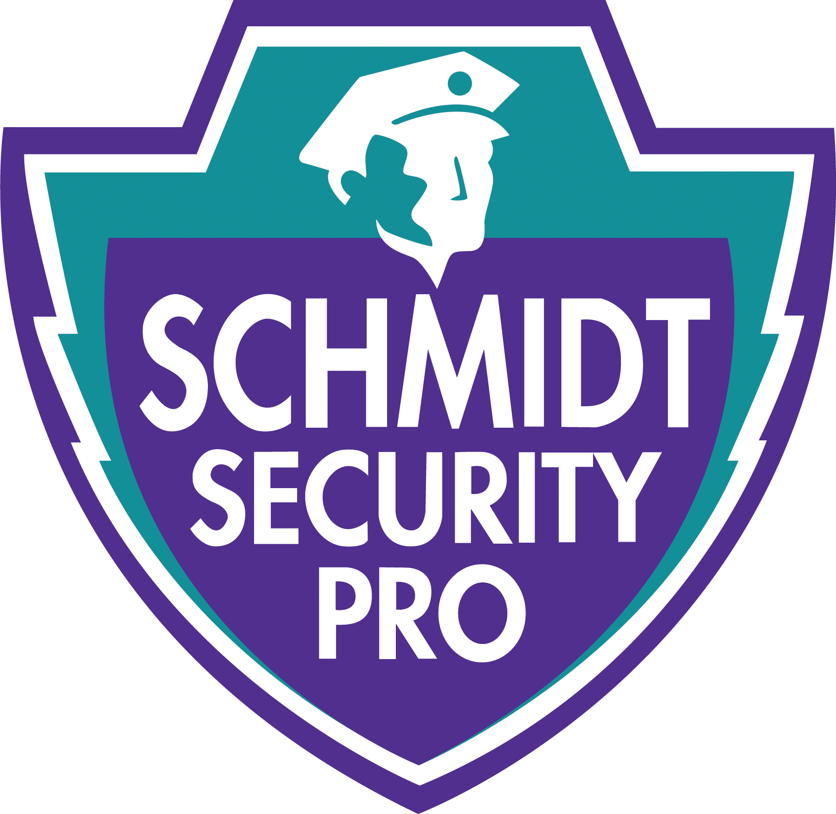 Schmidt Security Pro